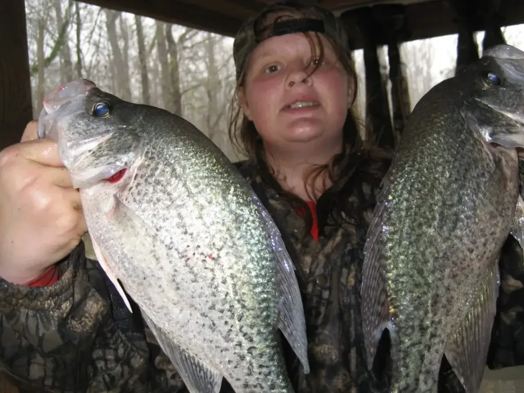 8 Best Arizona Crappie Fishing Lakes (2024 Updated)