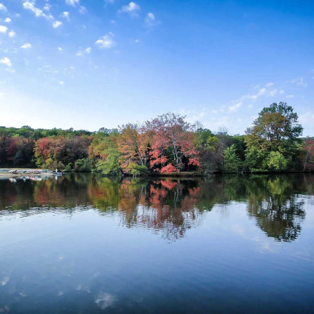 Pennsylvania walleye fishing in French Creek